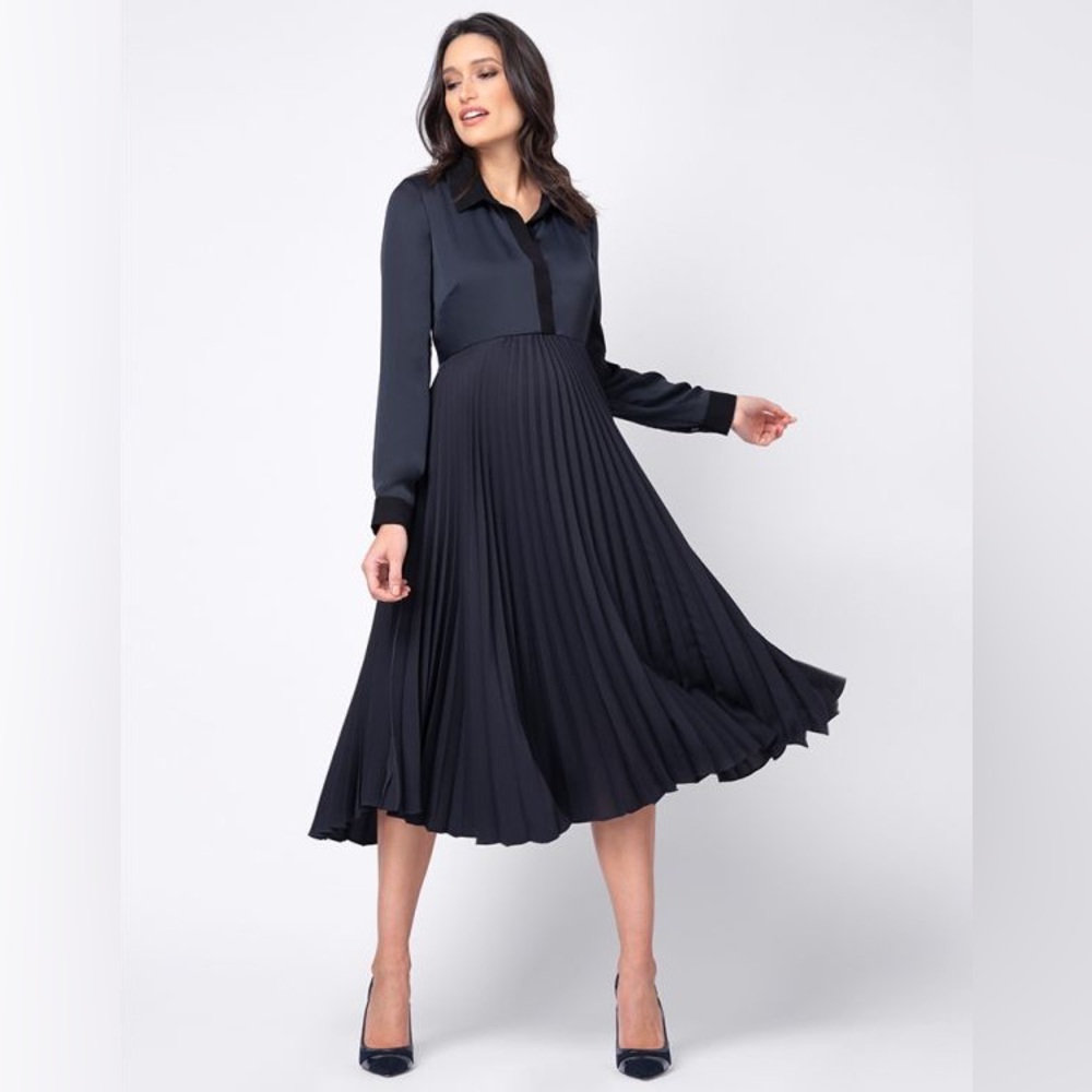 Seraphine Pleated Maternity & Nursing Dress